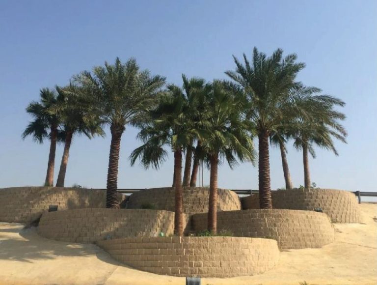 Dammam Municipality – Landscape & Stamped Concrete (1)